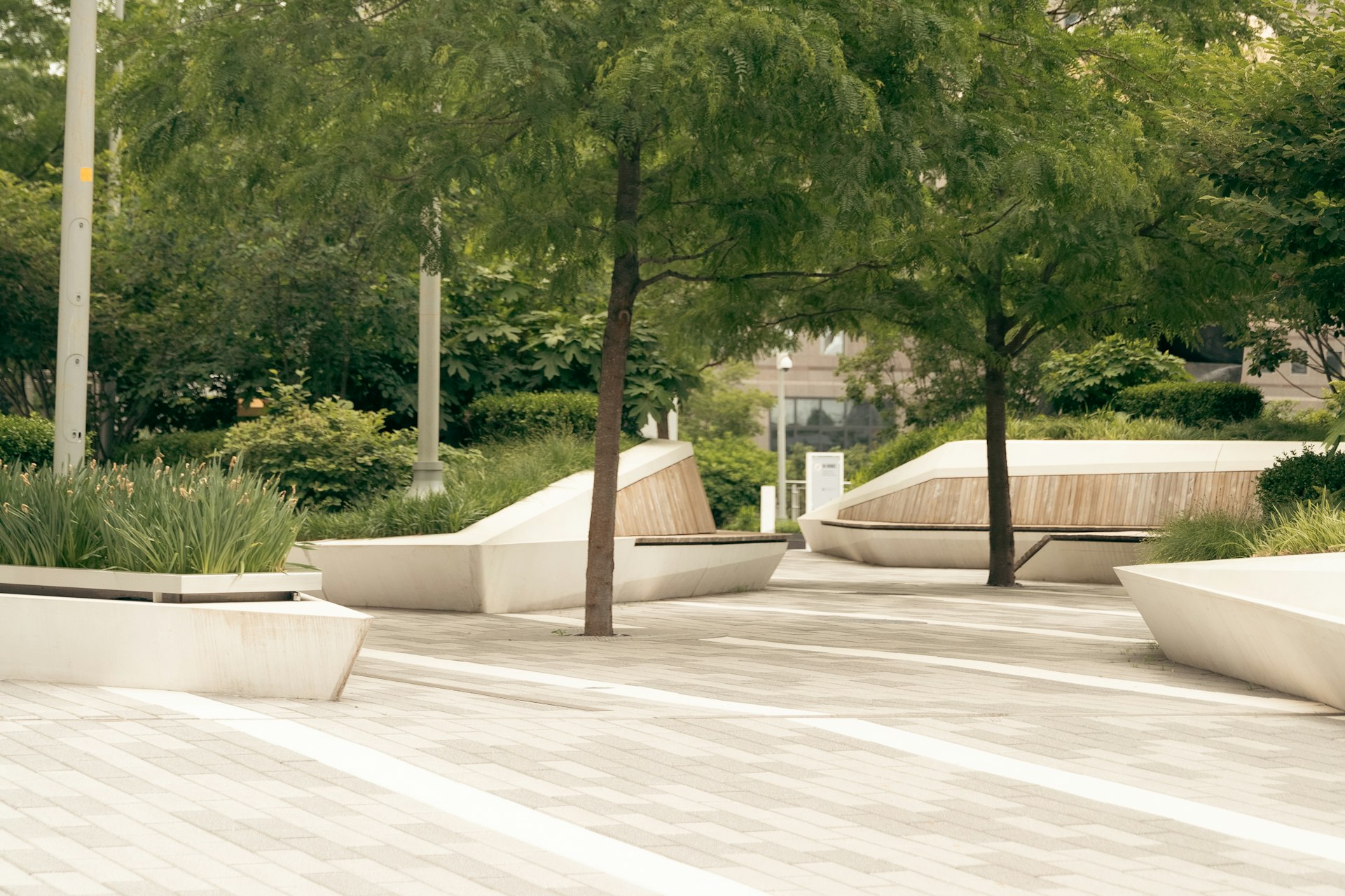 a group of benches sitting next to a tree